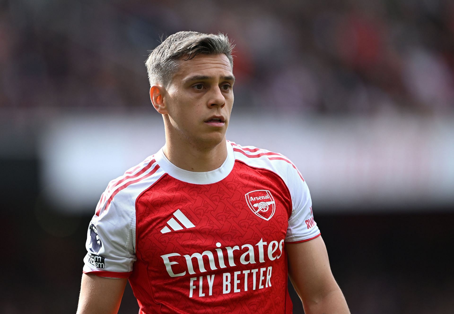 Arsenal FC v Newcastle United FC - Premier League - Source: Getty